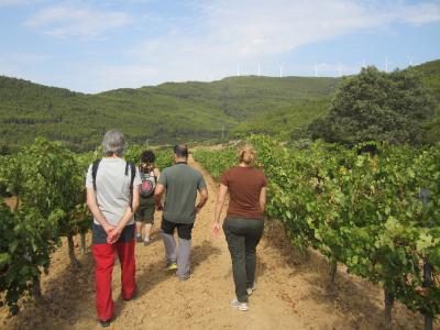 Sustraiak experience at the Bodegas Máximo Abete winery